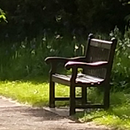 Botanical gardens, grass, trees, benches. Mostly just green with a couple of people sat on the grass at the edge.