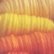 neatly packed thread