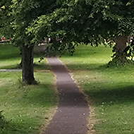 path between two trees