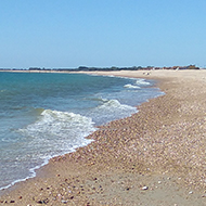 A big stretch of a completely empty beach under a blue sky