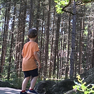 Small person next to a big tree in a forest.