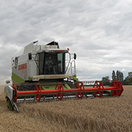 Combine harvester working in wheat field