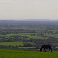 A broad view of a green valley in south-west of England