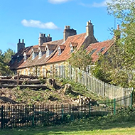 Trees felled on a railway siding reveal old stonework houses on the other side of the tracks. Everything is bathed in warm light, with some still standing trees casting deep and inviting shadows.