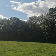 Blue skies and clouds. Rural scene.