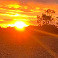 golden sunset over a field