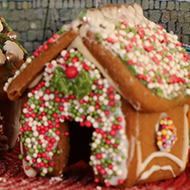 Gingerbread Village Silliness