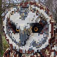 Owl made out of Lego bricks