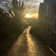 A country lane basking in the Christmas Day sunrise.