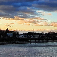 Birds over river