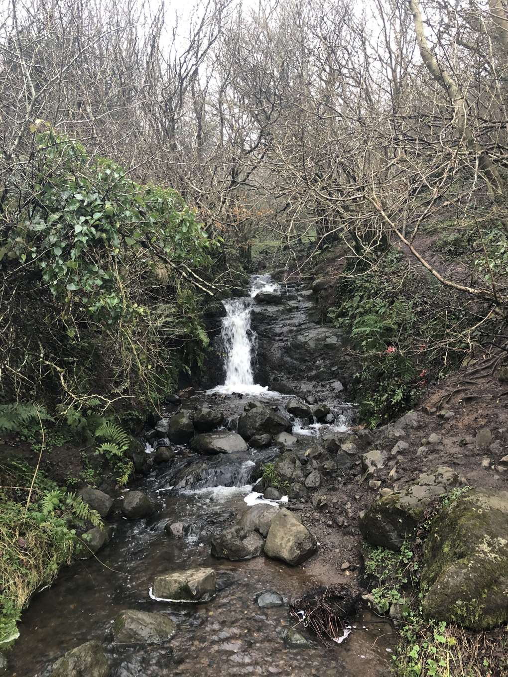 Waterfall on Cave Hill in Belfast