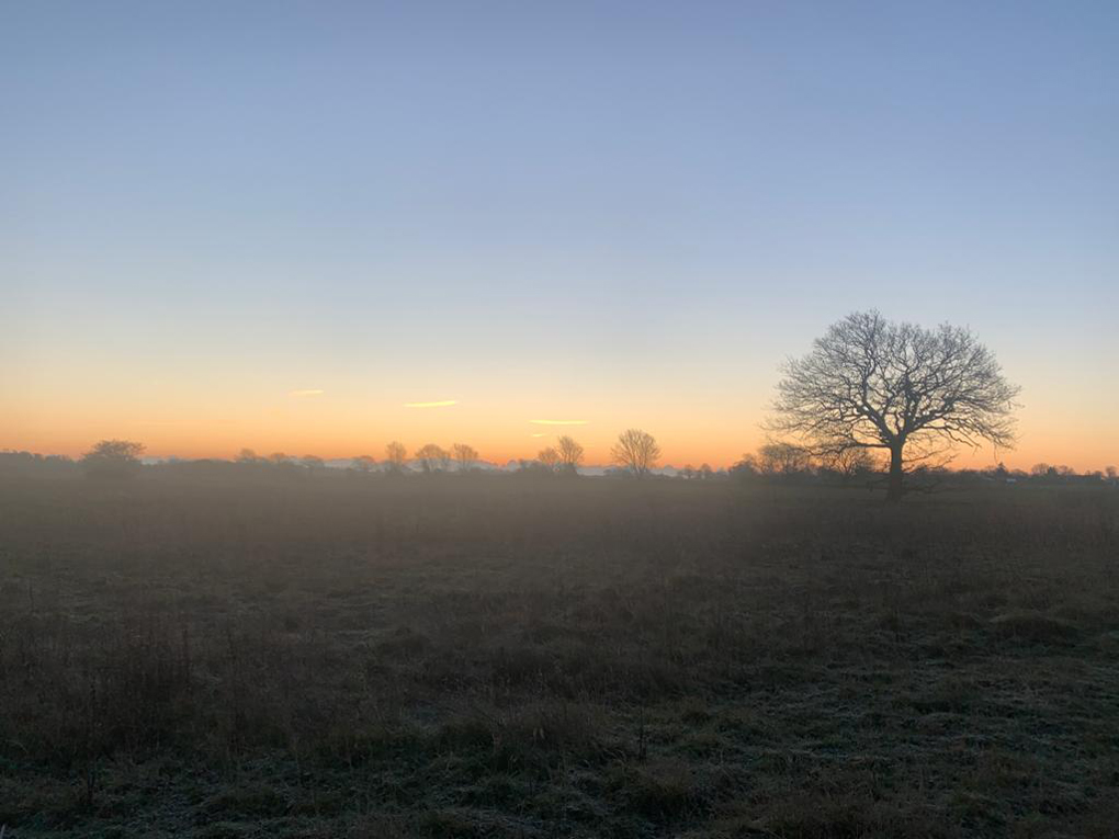 sunrise over a park