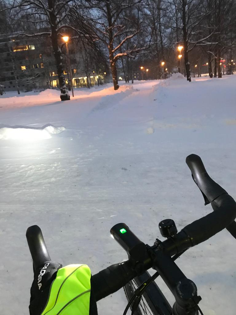 Handlebar of a bike against a snowy backdrop.