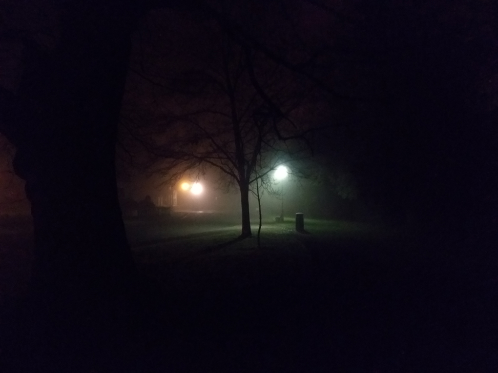 Dark and foggy night, street lights behind a tree look like alien suns in the night sky