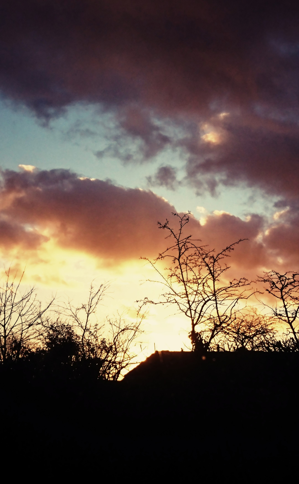 Not much to photograph this month as grey skies and rain prevailed but this glorious sunset lifted my spirits, seen from my bedroom window whilst under ‘ house arrest’,  glorious!!!