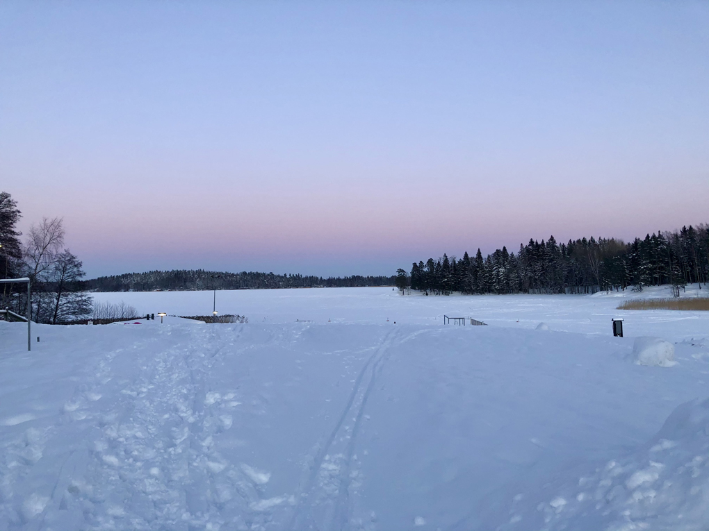 Snowy landscape and a light pink sky.