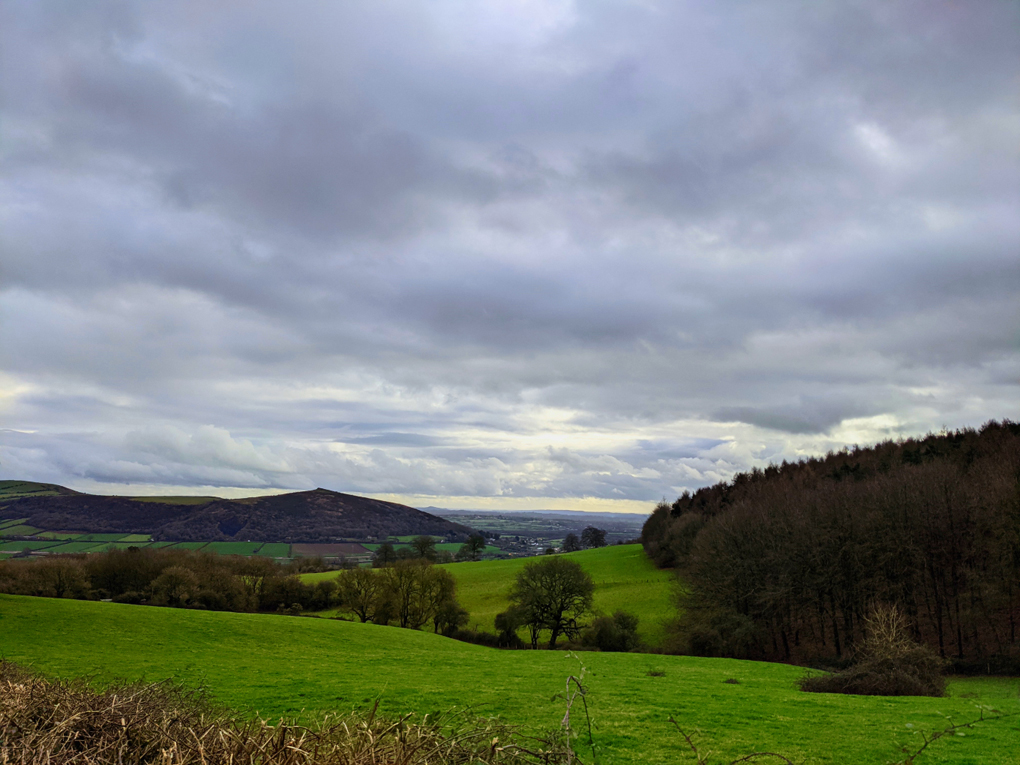 Colour photograph showing green hills in the foreground, with a dense copse of bare trees to the right, and a hill in the background with a crooked peak