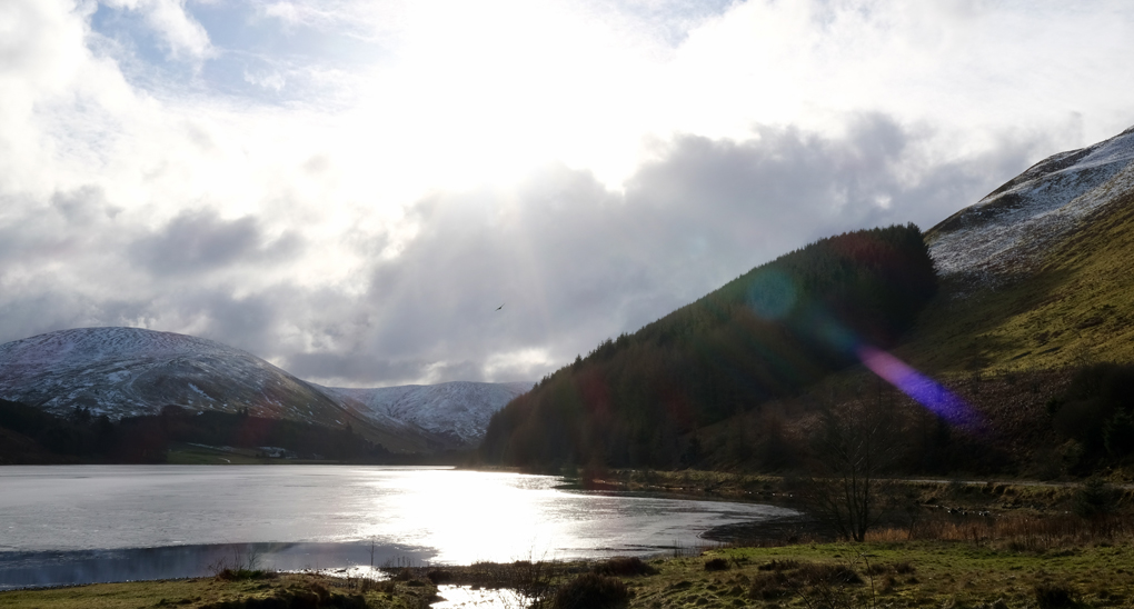 A buzzard flies out of the glare of the sun over an icy loch bounded by wintery hills.