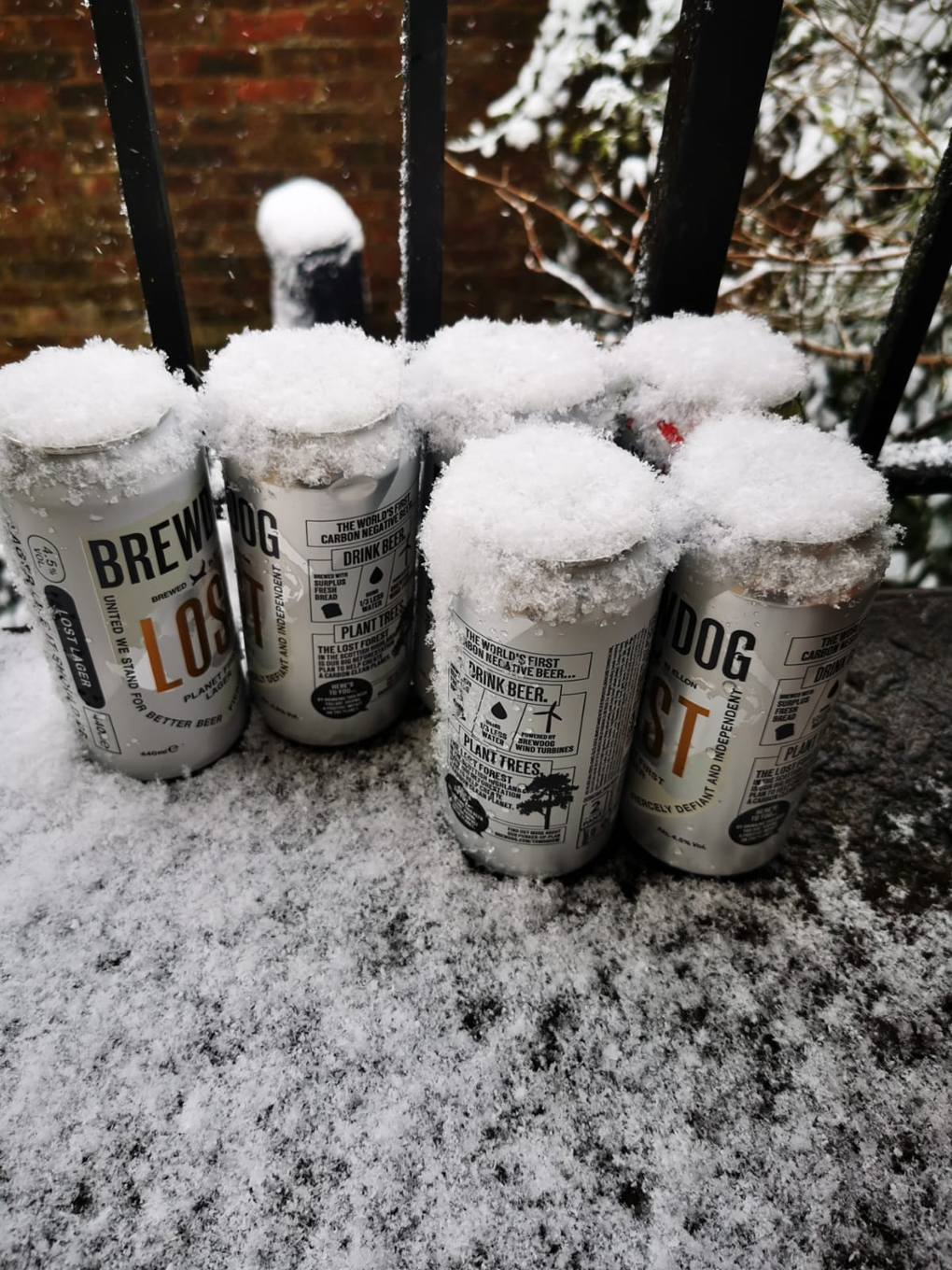 Beer cans in the snow