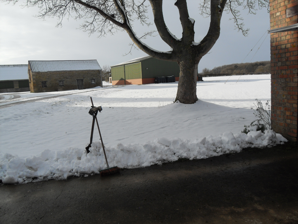 Abandoned shovel and brush on edge of snow-covered farmyard