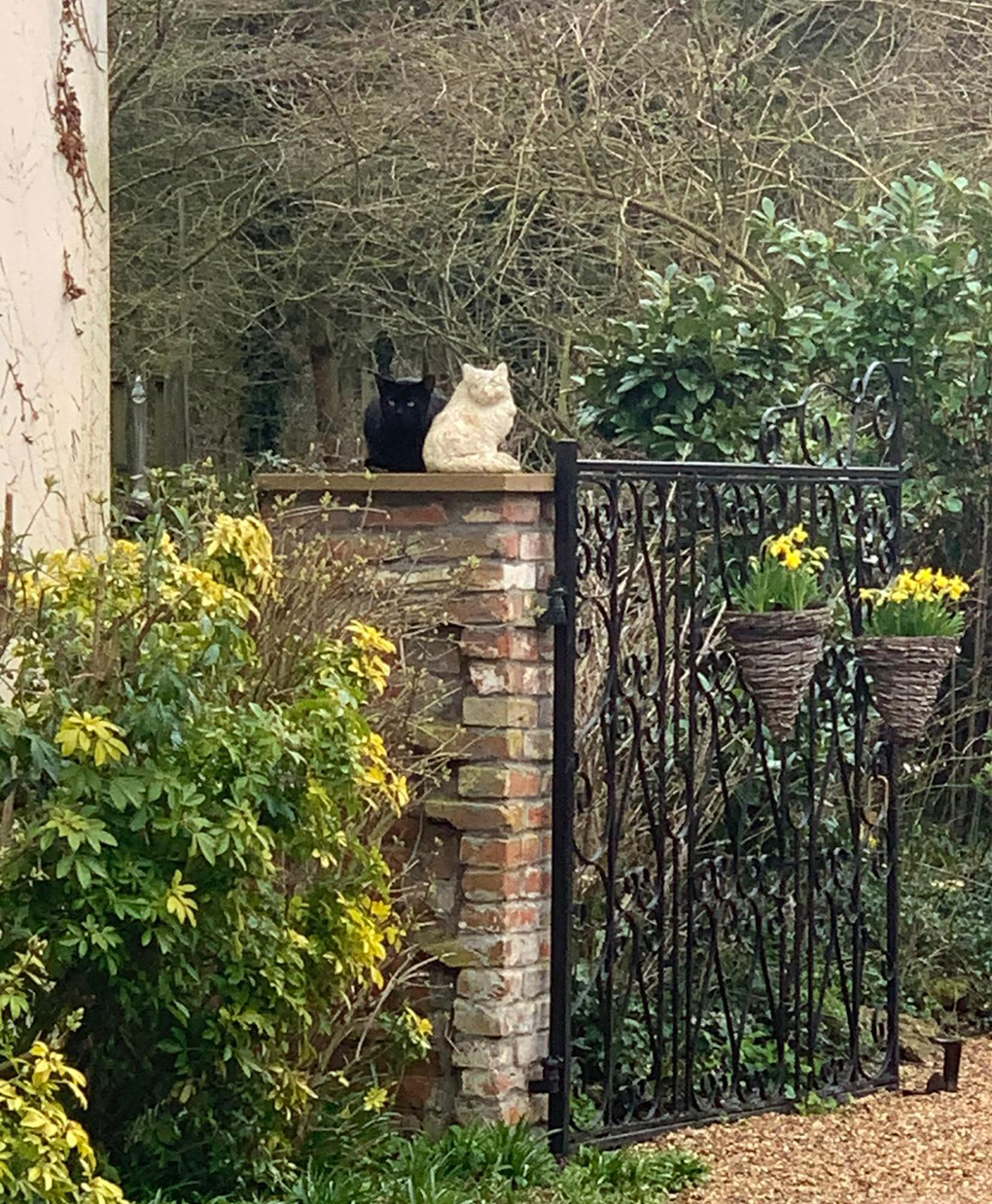 Cat sitting on a wall by a stone cat