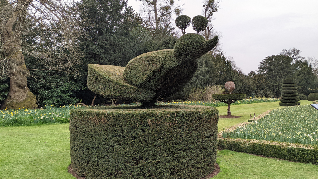 A bush which has been cut into the shape of what I think is meant to be a bird, but has round ears on sticks.