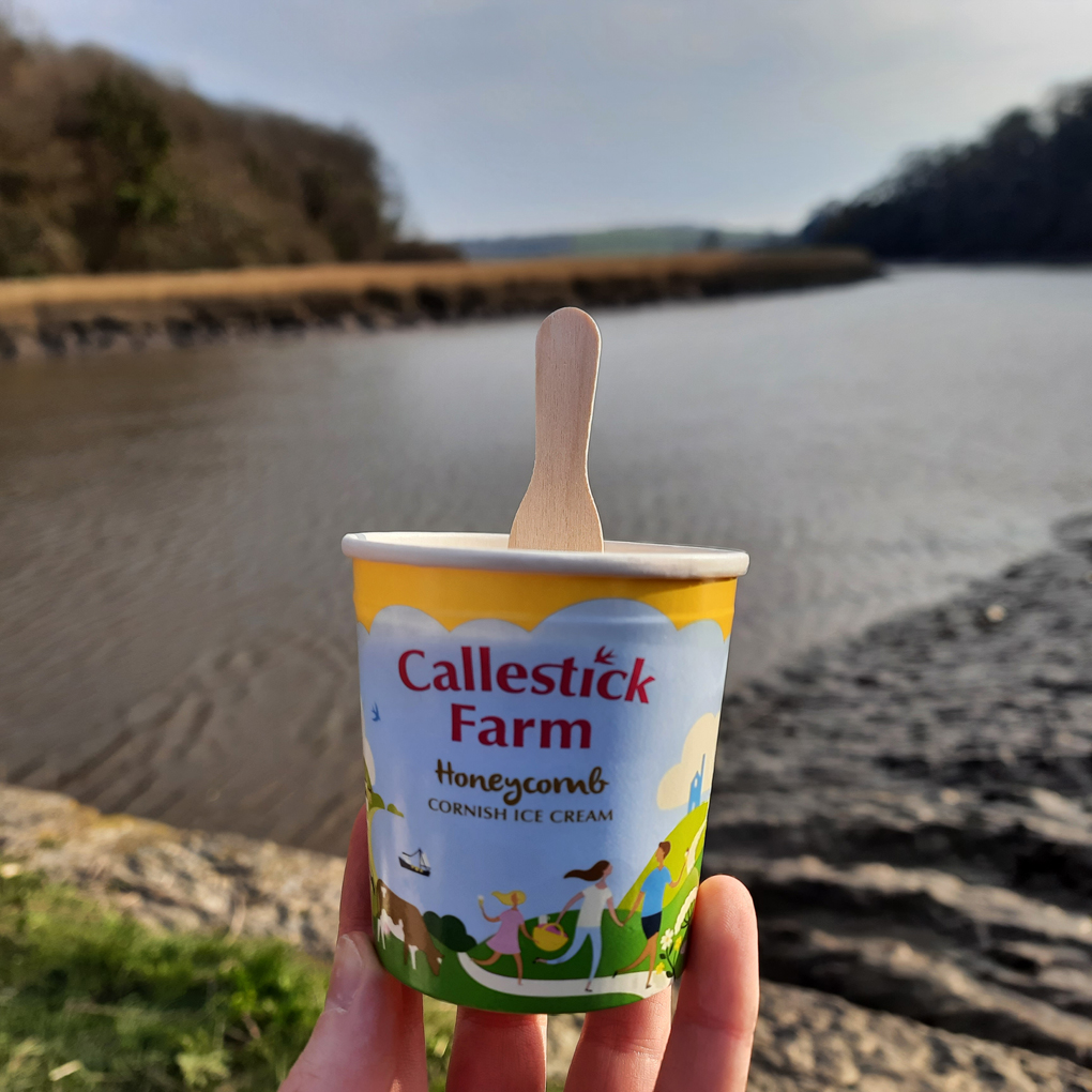 A hand holding a small tub of ice cream with a wooden spoon stuck out of the top, with a wide river in the background