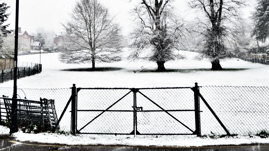 We see a winter scene with a fence in the foreground and three trees in the background