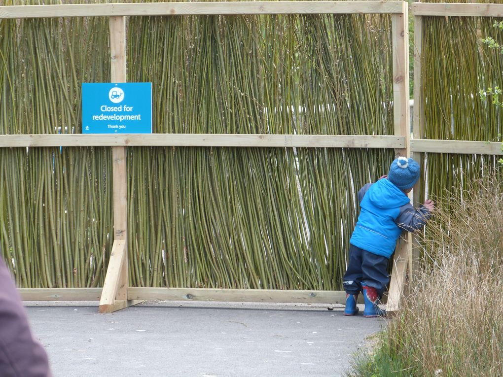 A small boy peers through a gap in a fence which carries a sign stating 'Closed for redevelopment'. The boy is at bottom right, the sign at top left, and the remainder of the scene is a fence made from vertical willow poles.