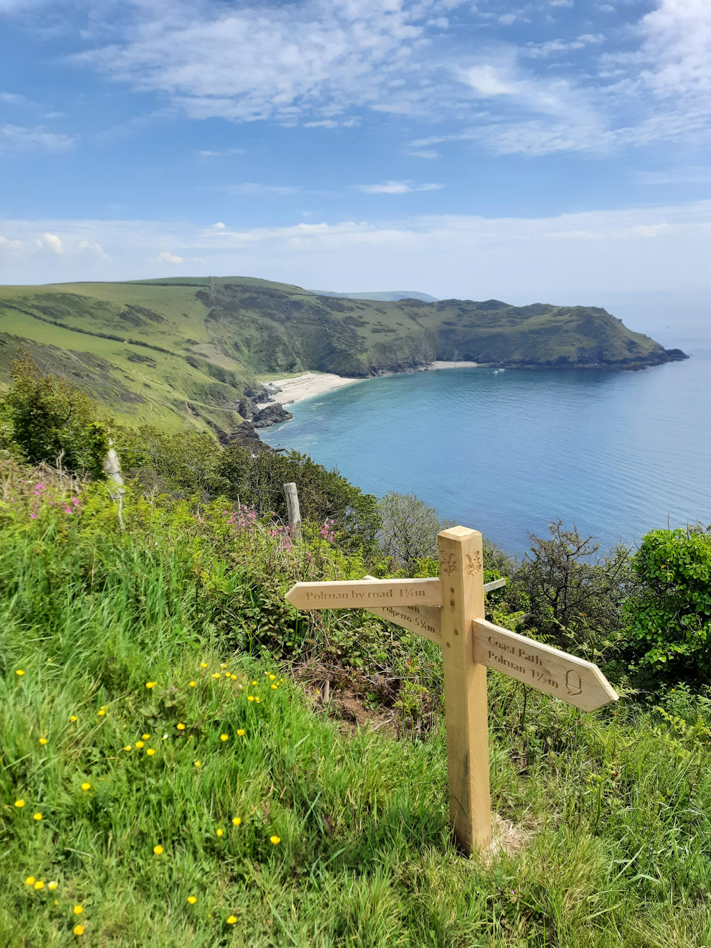 A wide shot of a coastline in the bright sunshine, curved beach in a secluded cove, in the forefront surrounded by bright flowers is a signpost with multiple directions