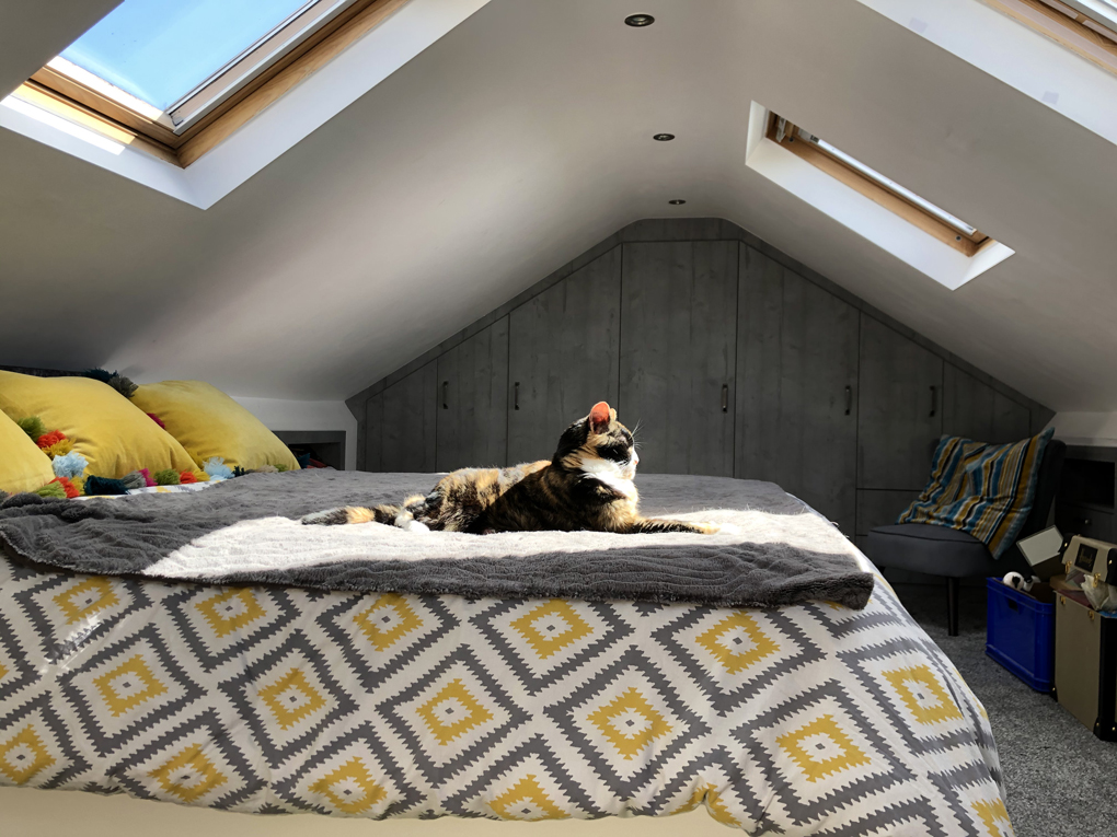 A contemporary bedroom, with a black, orange, and white calico cat on a grey blanket on the bed. The cat is sitting in a sunbeam, in a position like a sphinx, and looking very happy to be there.