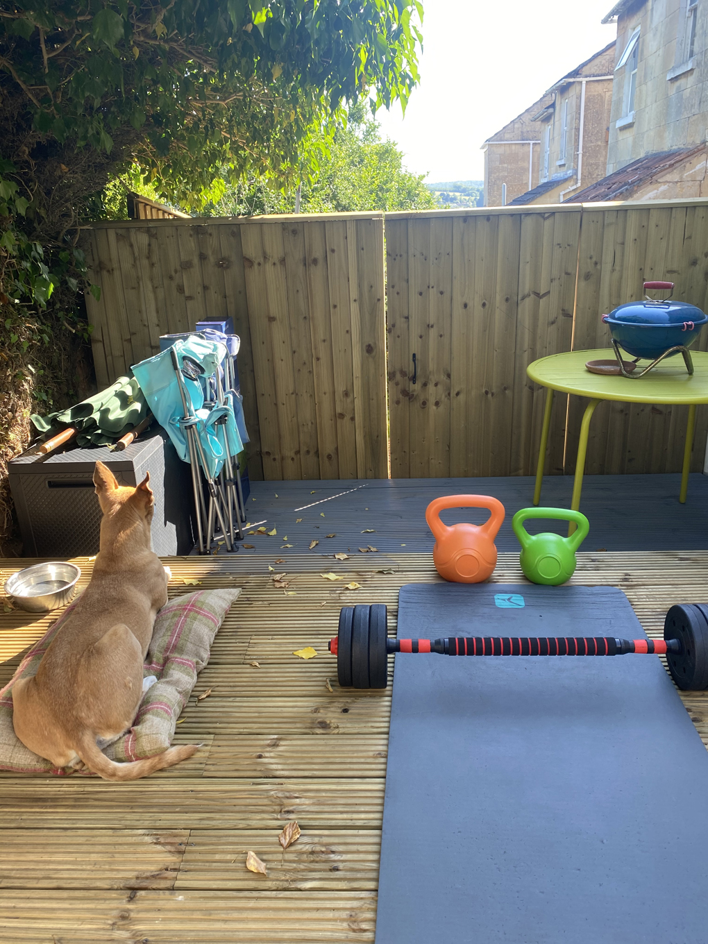 An exercise mat and some weights in a small back garden. There’s a dog laying down next to the mat looking sleepy.