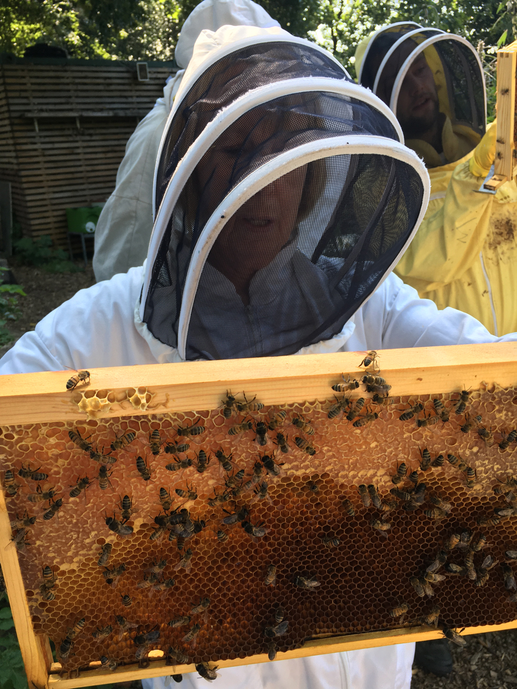 Bee Experience in London