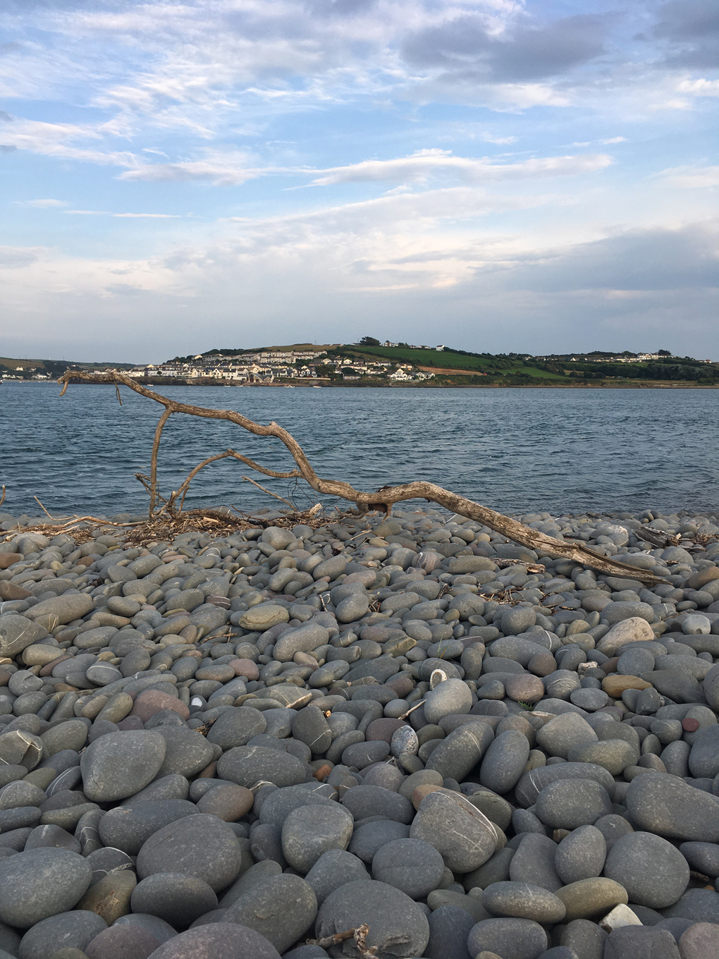 Big twig on rocks with the beach in the background.