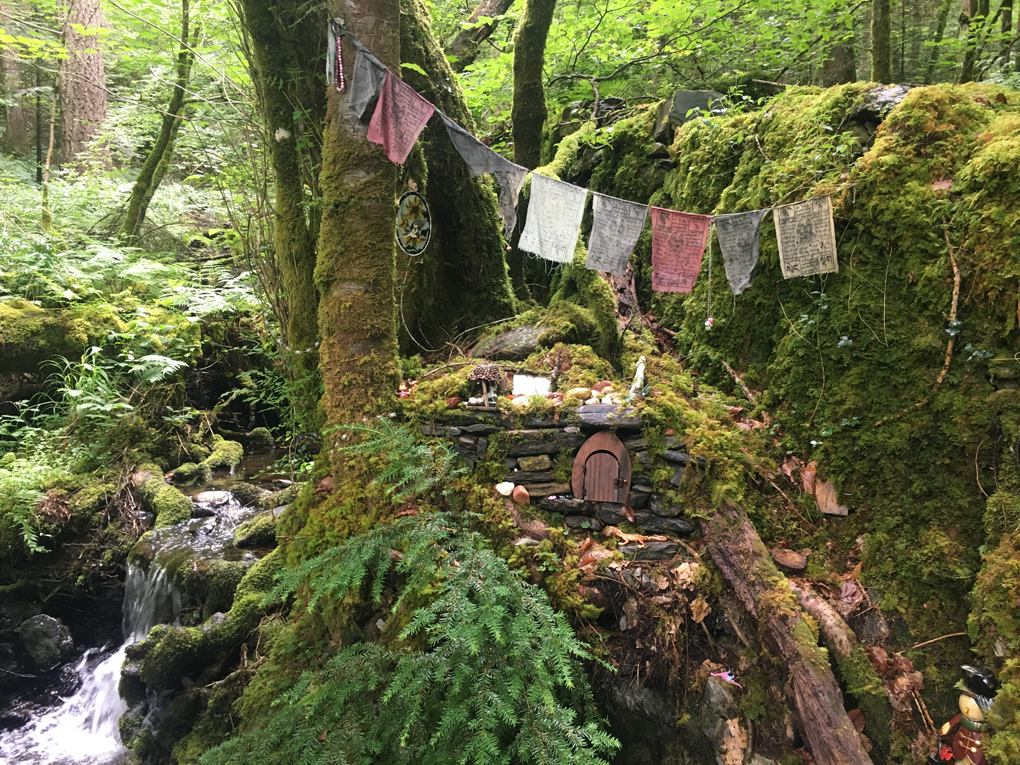 Fairy dwelling in a Welsh wood