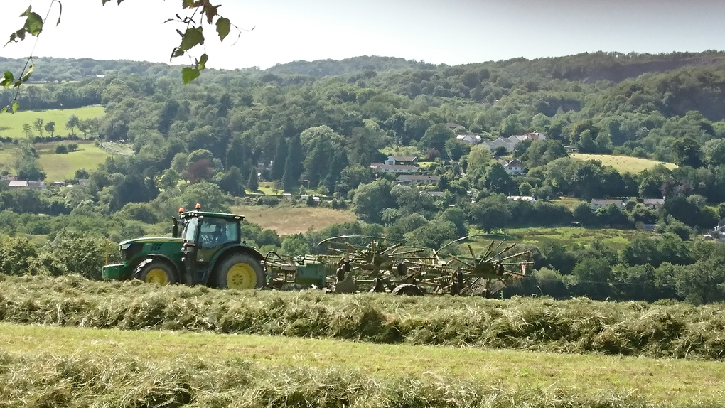 The back garden of our new home overlooks a field and valley. This week we were treated to a bird’s eye view  of the farmer pulling this amazing machine behind his tractor which had two circular horizontal wheels which cut the grass and separated it into neat rows. Two days later another machine was used to suck up the grass, chop it into bits and spew it back out into the bucket of the truck, to be used for silage. This week was not so good - the waft coming our way told us it was muck spreading time, so windows and doors kept firmly shut! Ugh!!!