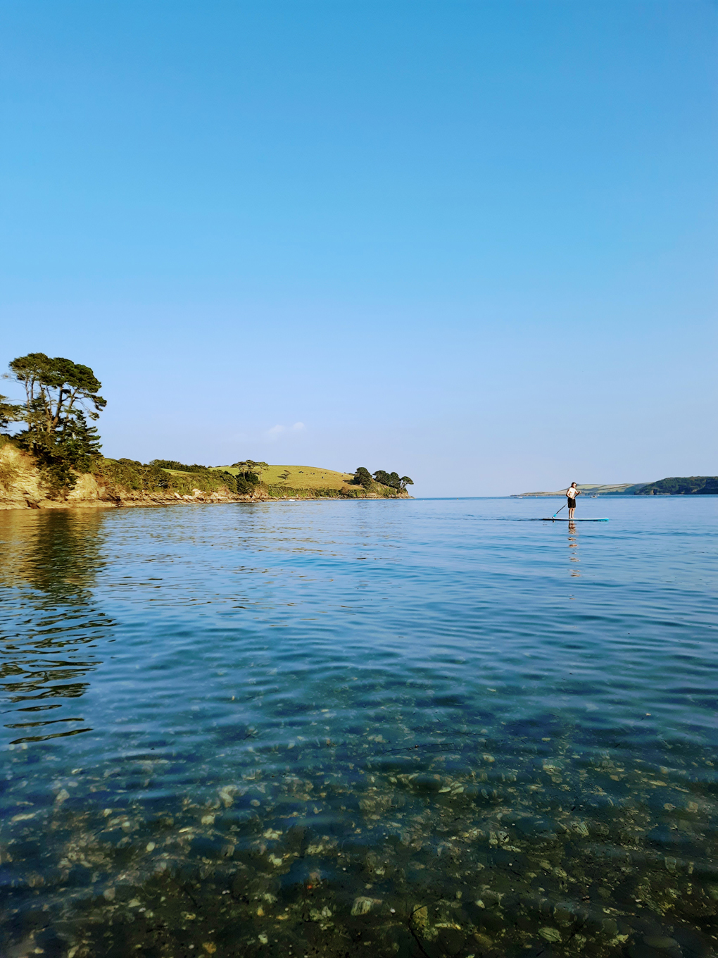 A person standing on a paddle board floats on a calm sea. To the left the coastline rises and falls. In the foreground, the water is clear.