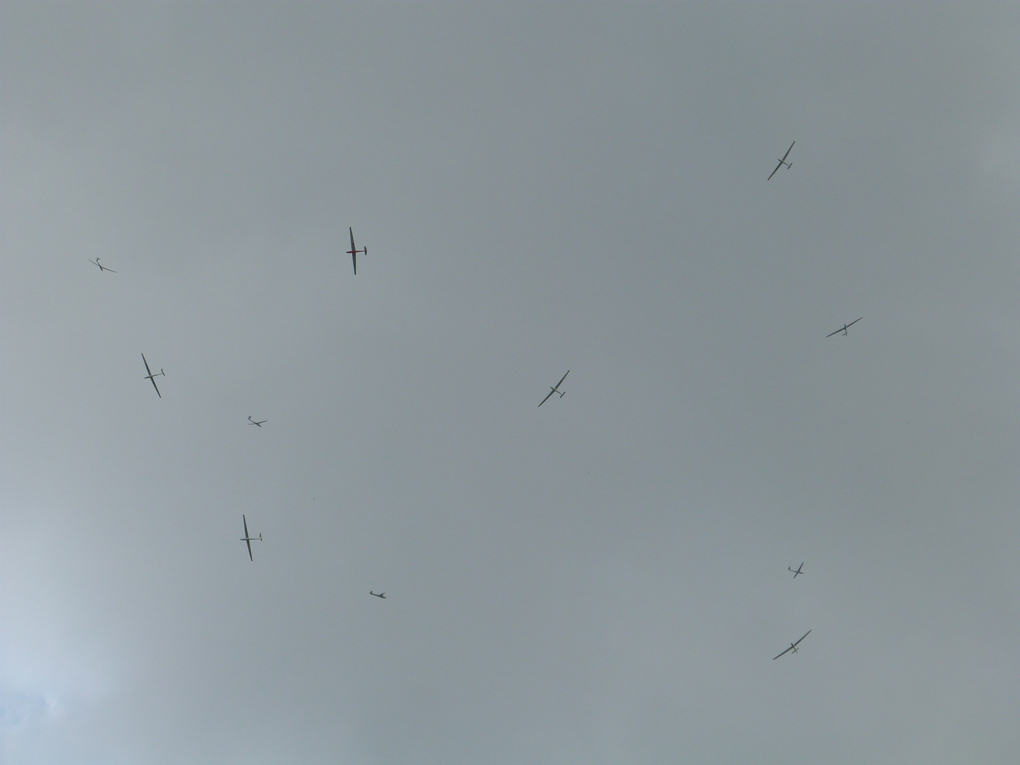 Looking up towards a cloud under which a large number of gliders were circling. There were at least 20 in the thermal at one time.