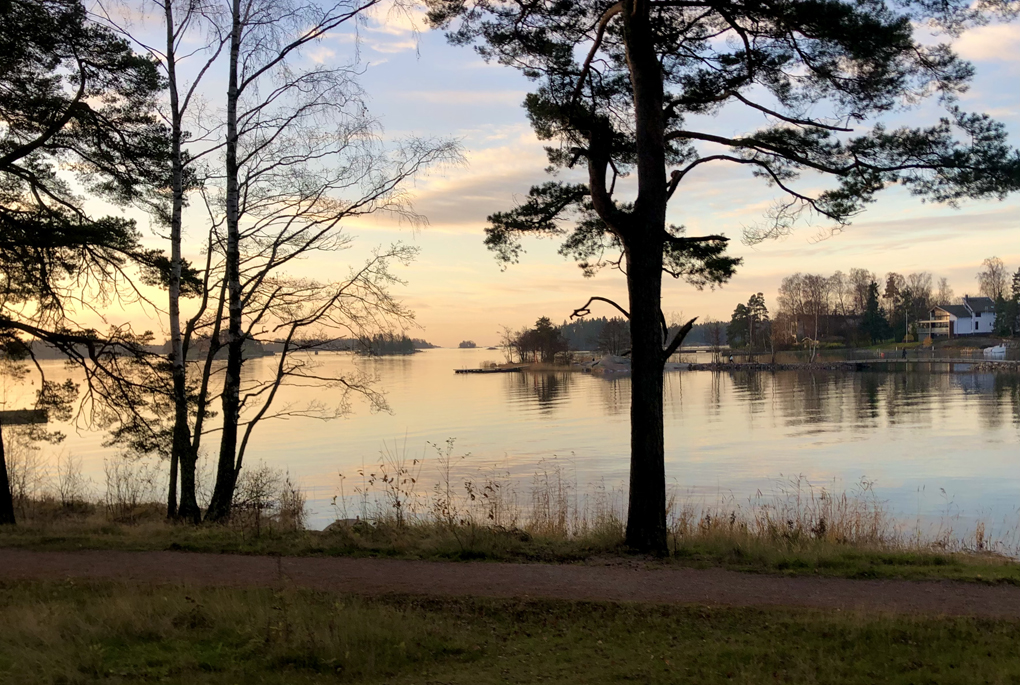 Sun rising in the horizon of a bay seen through the trees.