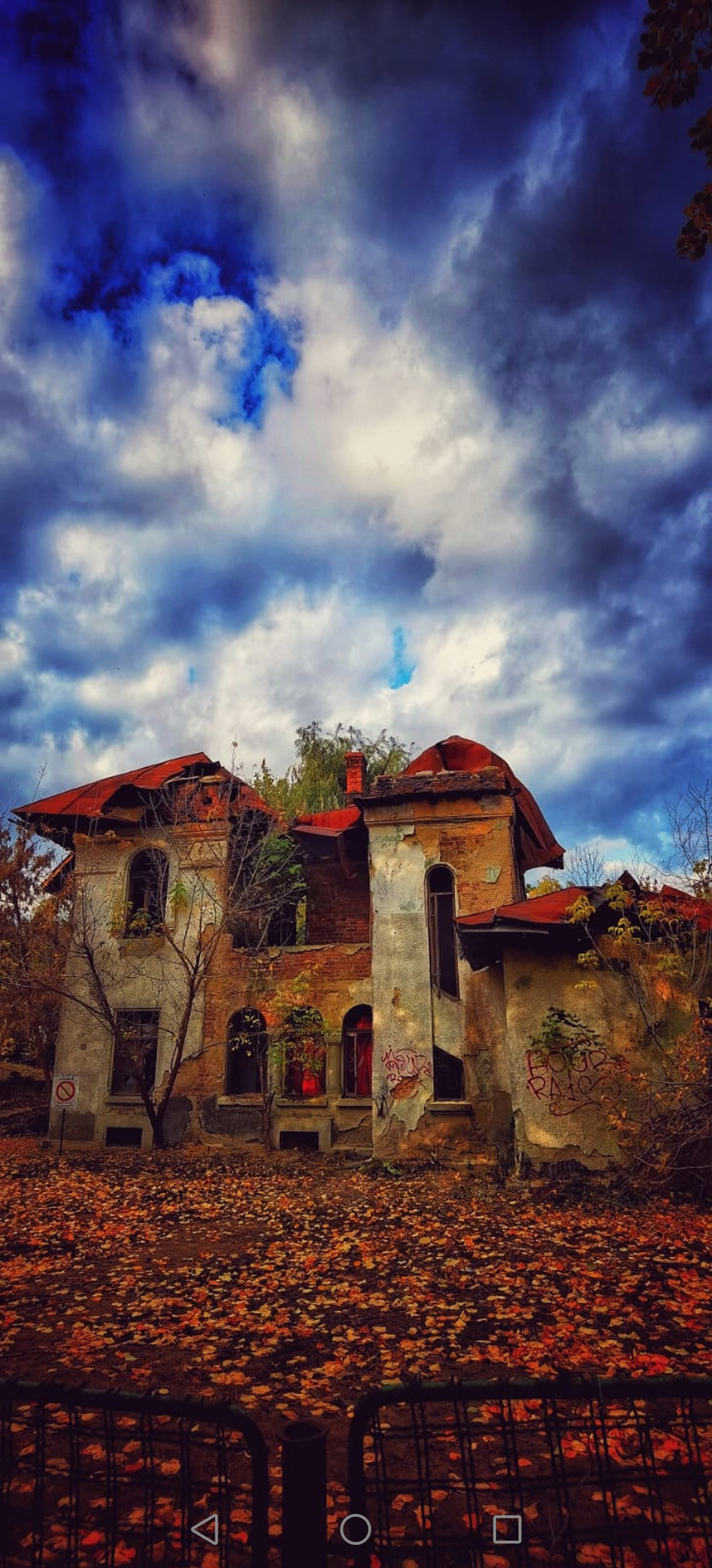 Derelict house in park