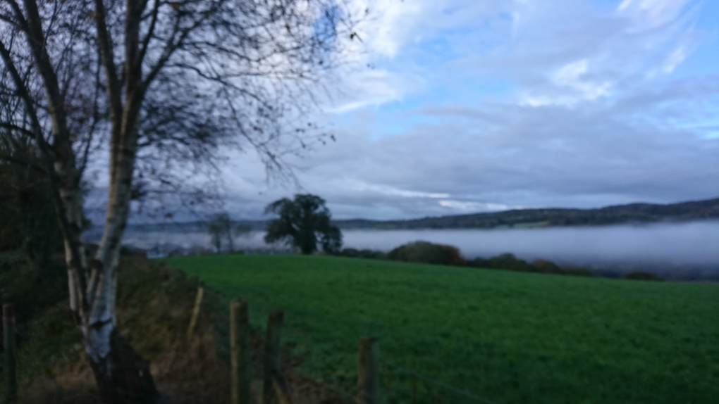 View from the bottom of our back garden one early morning. The view stretched across a field taking in the valley being slowly engulfed by a long rolling mist, slowly rising like a meringue creeping up the valley slopes almost joining the pale wintry sky, a view one never tires of from misty morns to glorious sunsets setting the skies on fire. Such a blessing!