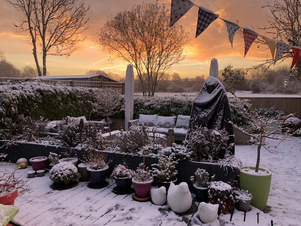 A garden covered in snow, bathed in a soft, pinkish light from an early-morning dusky sky