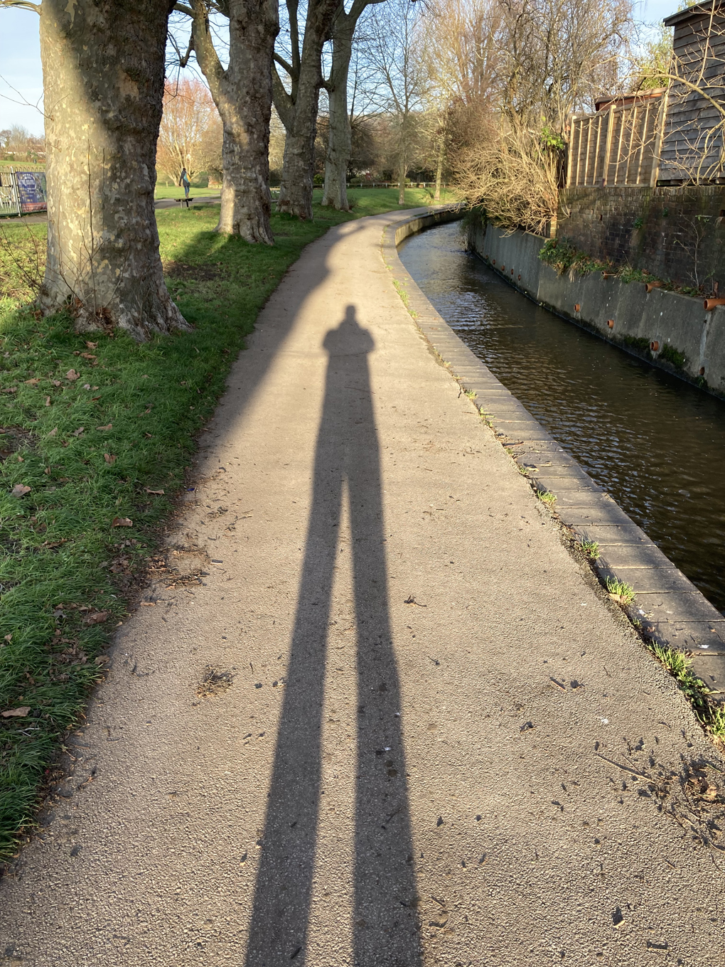 We see an elongated shadow of a man on a path framed by trees and a brook