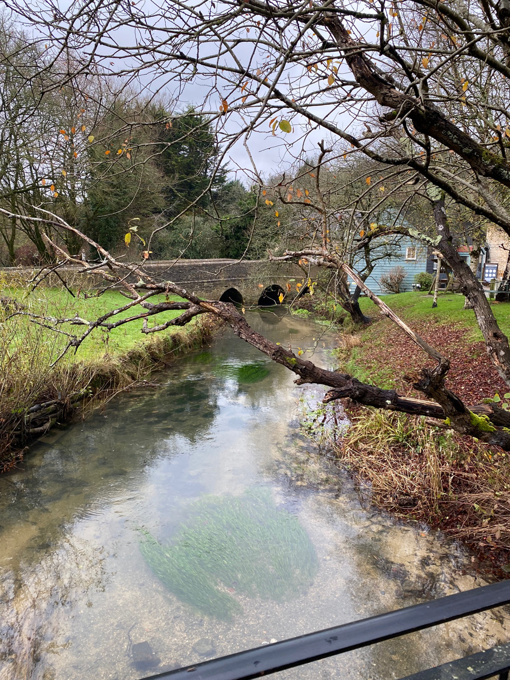 A clear stream running through a garden behind a large old white building