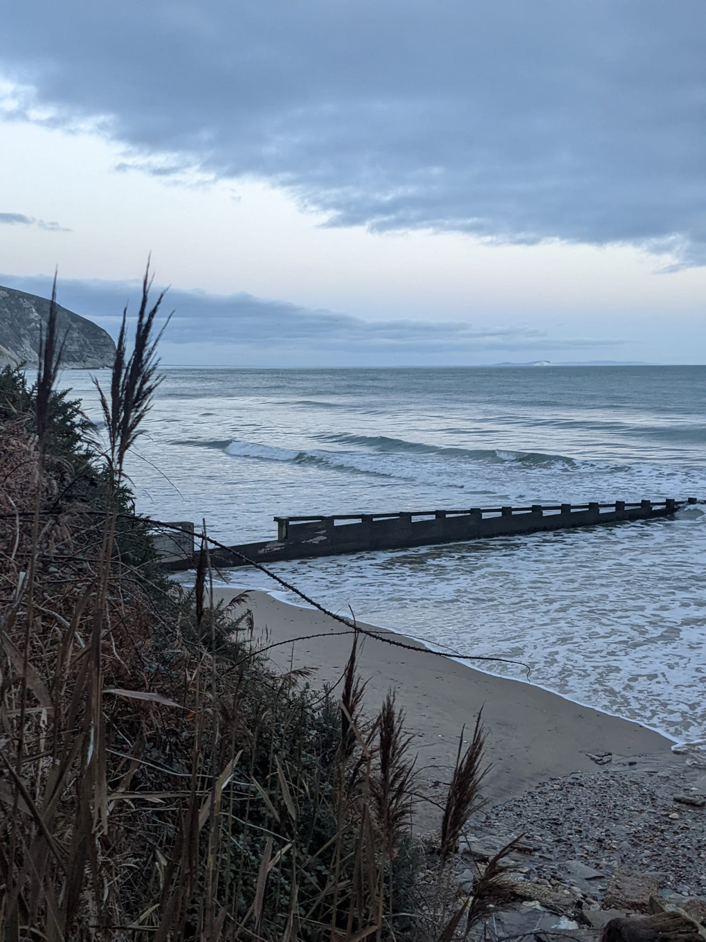 Sea, plants, sand, beach, cliff scenes