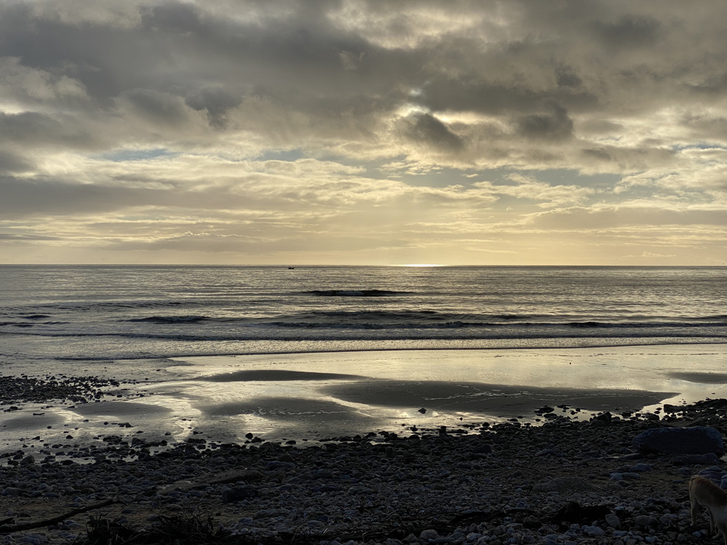 A rocky beach with the tides lit by a low sun