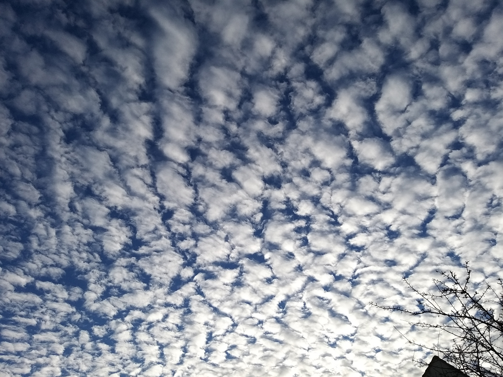 Little cotton ball clouds dotted all over the sky like a cellular blanket