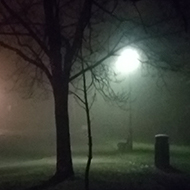 Dark and foggy night, street lights behind a tree look like alien suns in the night sky