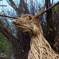 small boy hiding under a wicker deer sculpture