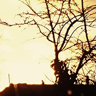 Not much to photograph this month as grey skies and rain prevailed but this glorious sunset lifted my spirits, seen from my bedroom window whilst under ‘ house arrest’,  glorious!!!